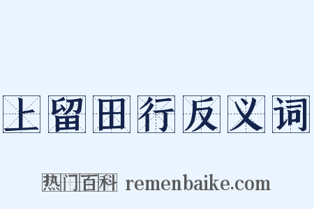 上留田行反义词是什么意思的图片